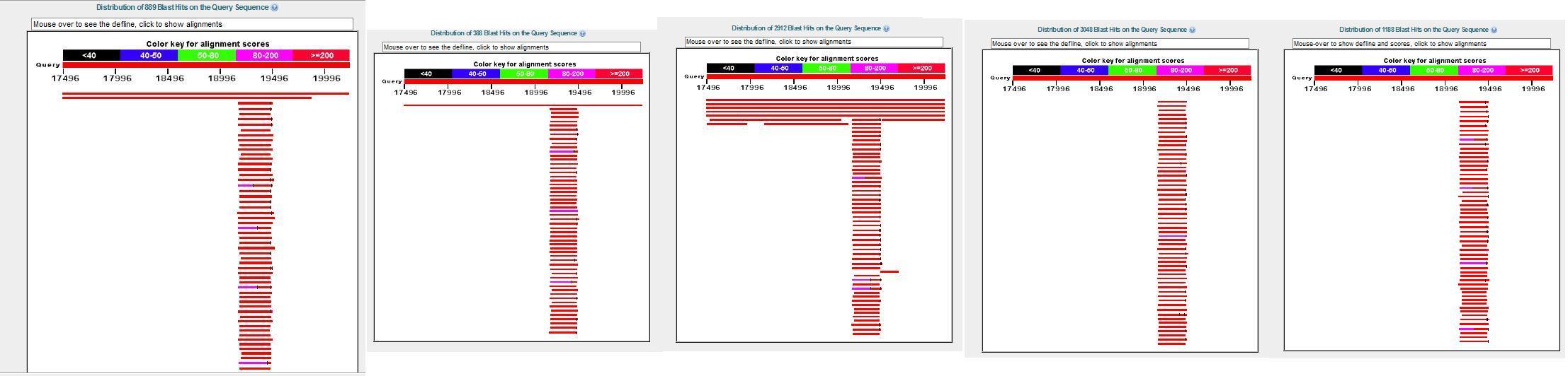 Widespread peri CERV1 insertion site homology