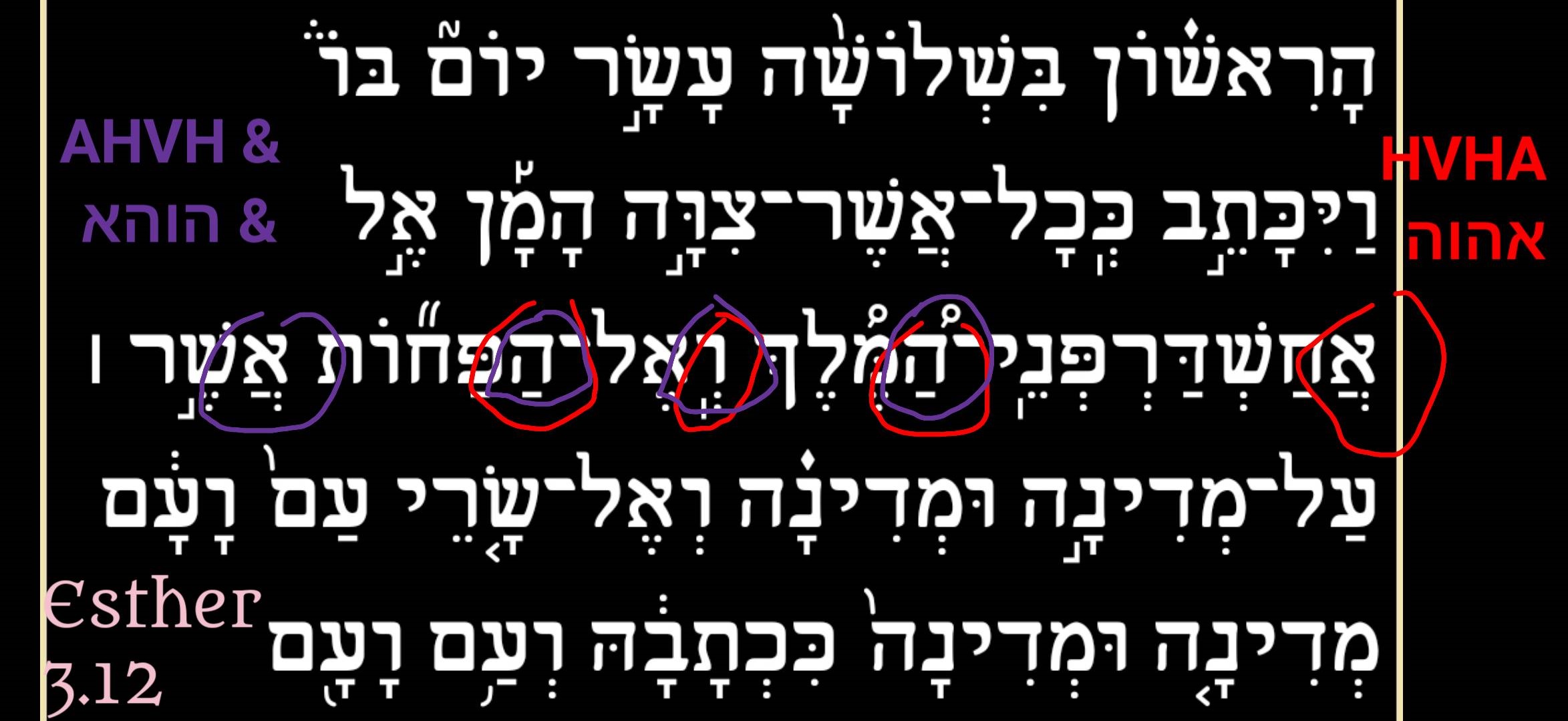 Image of the AHVH palindrome