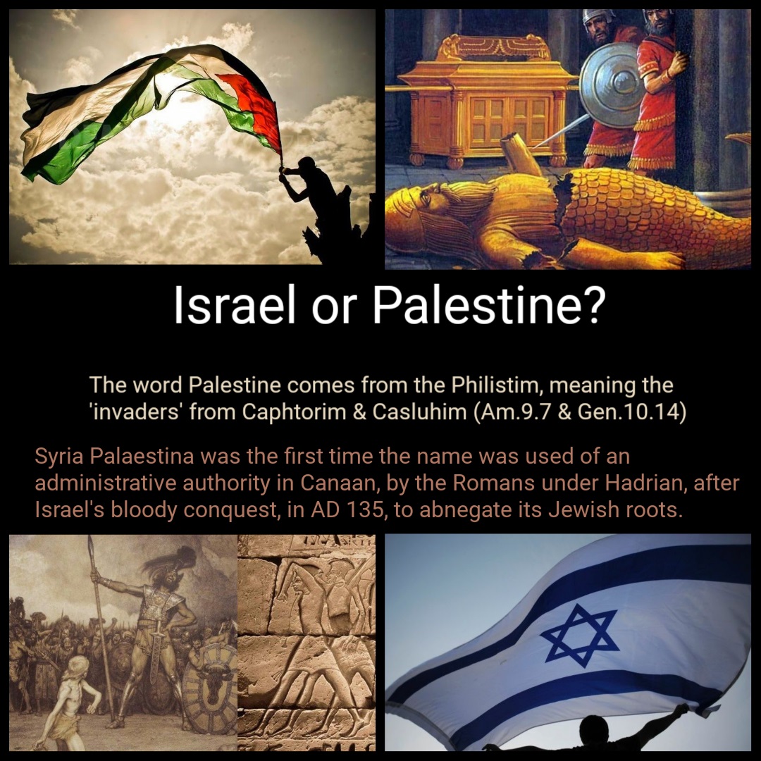 Palestine or Israel